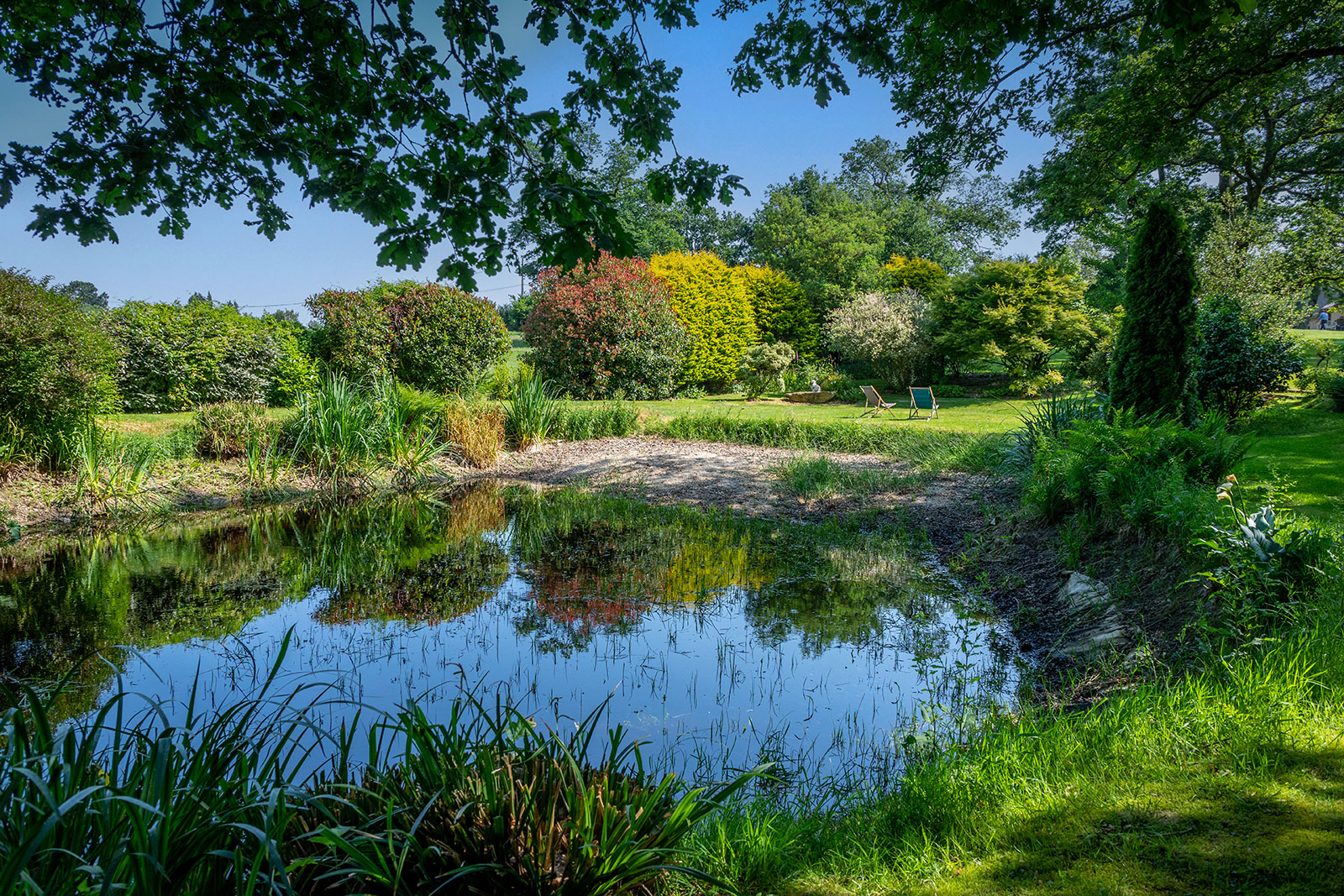 Promenade autour de l'étang