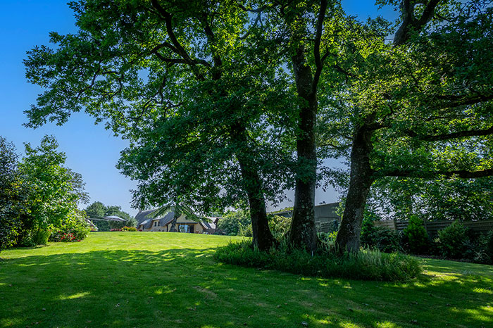 Jardin et Espaces extérieurs